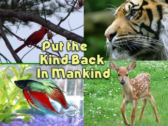 Put the kind back in mankind