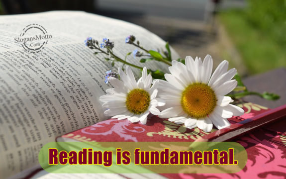 Reading Is Fundmental