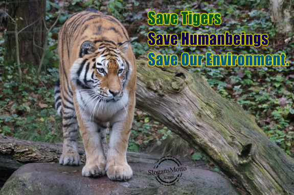 Save Humanbings