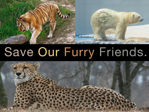 Save Our Furry Friends.