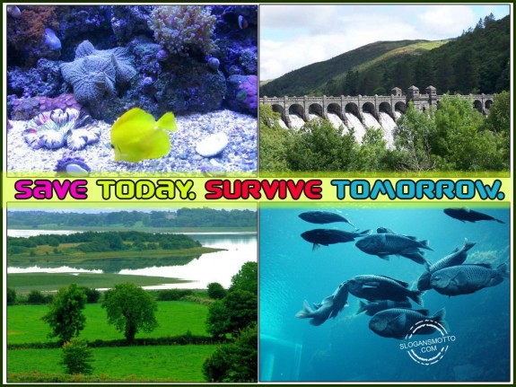 Save Today. Survive Tomorrow