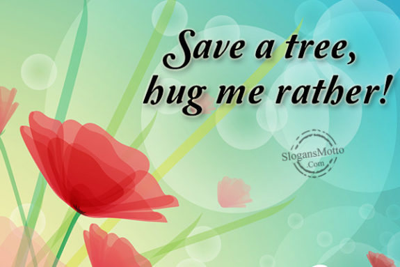 Save a tree, hug me rather!