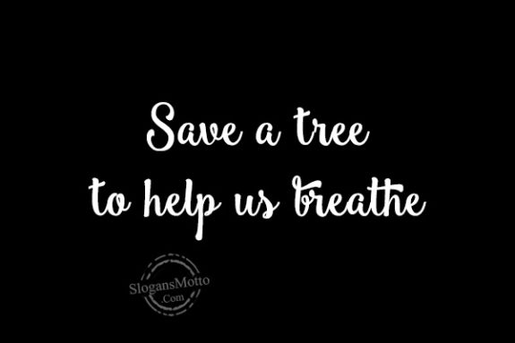 Save a tree to help us breathe