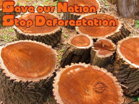 Save our nation, Stop deforestation