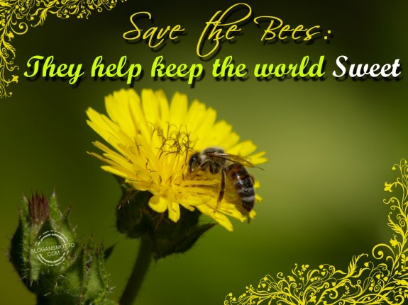 Save the bees they help keep the world sweet.