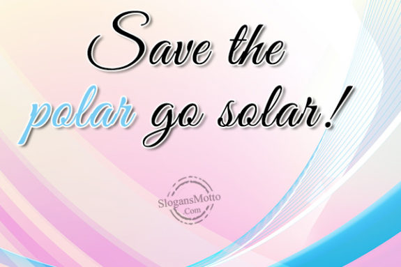 save the polar go solar!