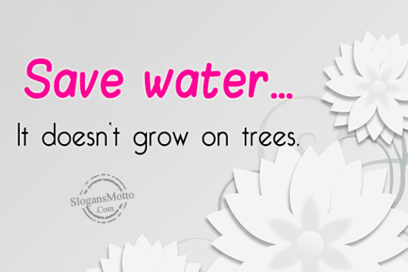 Save water…It doesn’t grow on trees.