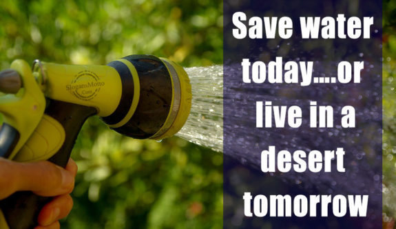 Save water today….or live in a desert tomorrow