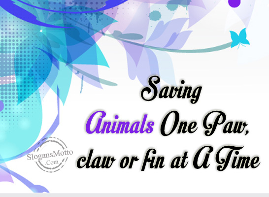 saving-animals-one-paw-claw