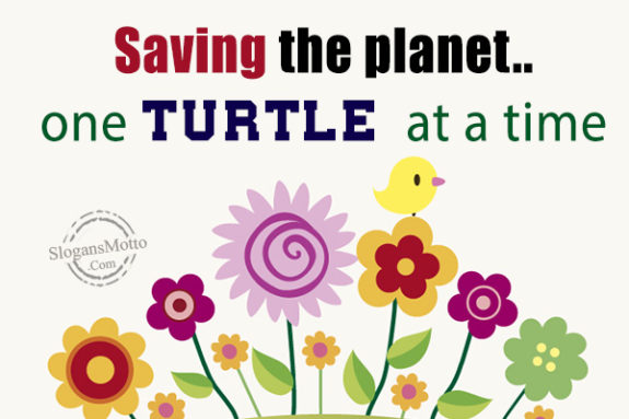 Saving the planet..one turtle at a time