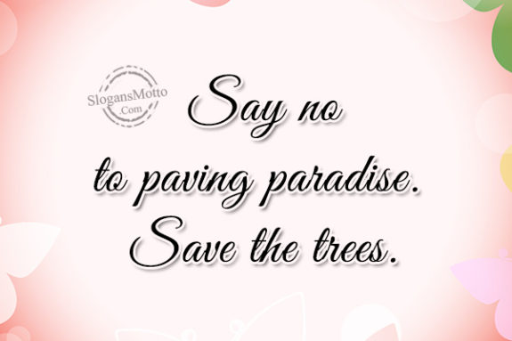 say-no-to-paving-paradise