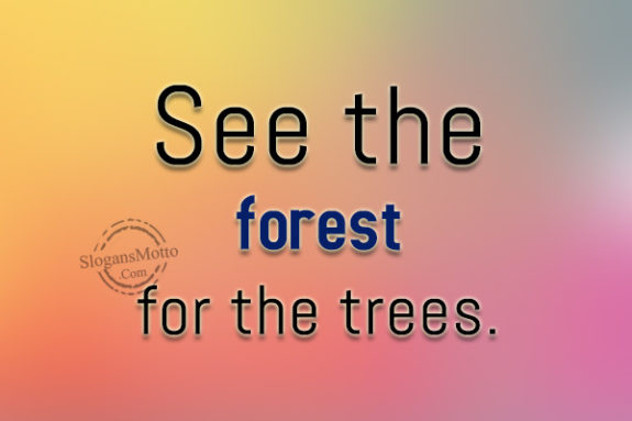 See the forest for the trees.
