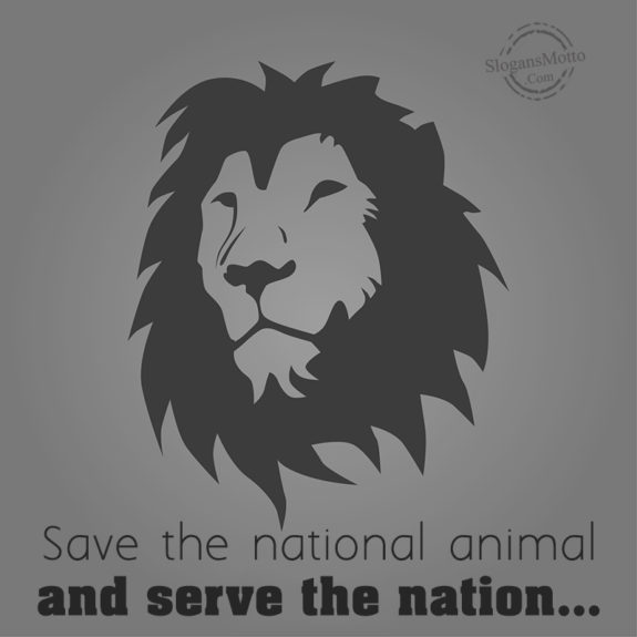  Serve The Nation