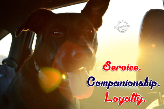 Service. Companionship. Loyalty.