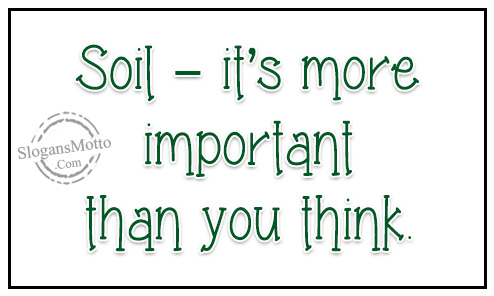 soil-its-more-important-than-you-think