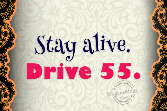 stay-alive-drive-55