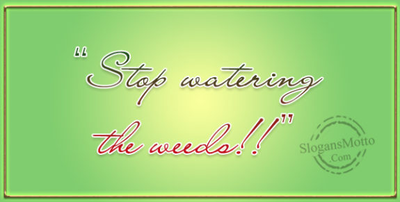 stop-watering-the-weeds