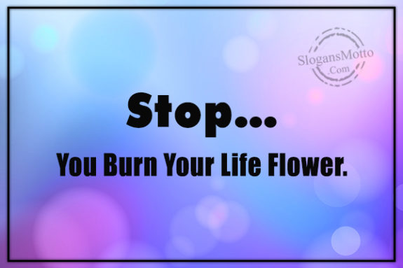 stop-you-burn-you-life-flower