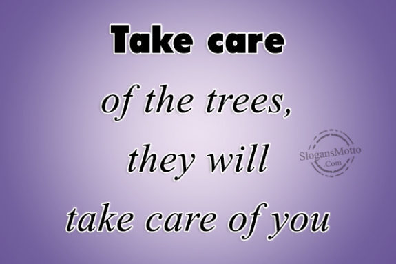 Take care of the trees, they will take care of you