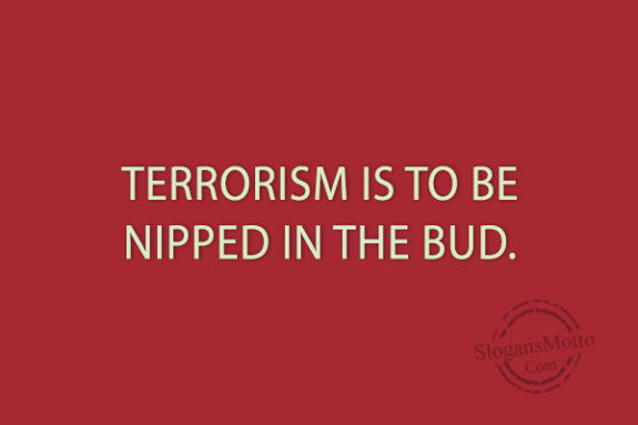terrorism-is-to-be-nipped-in-the-bud