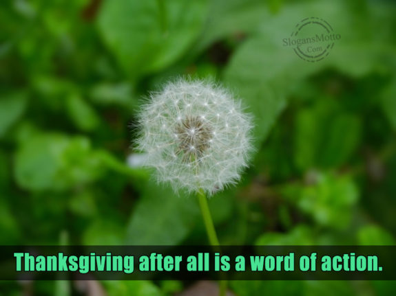 thanksgiving-after-all-is-a-word-of-action