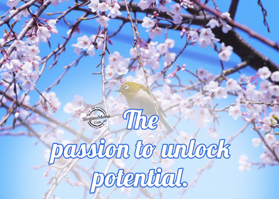 The passion to unlock potential.