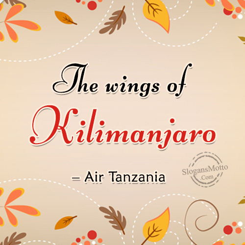 The wings of Kilimanjaro – Air Tanzania
