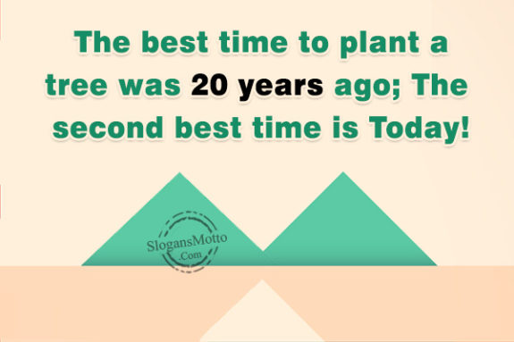 The best time to plant a tree was 20 years ago; The second best time is Today!