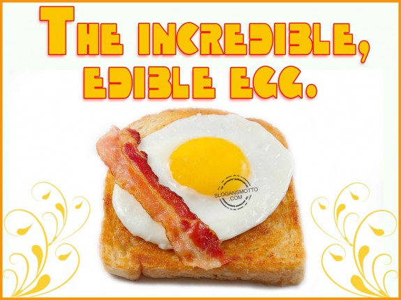 The incredible, edible egg