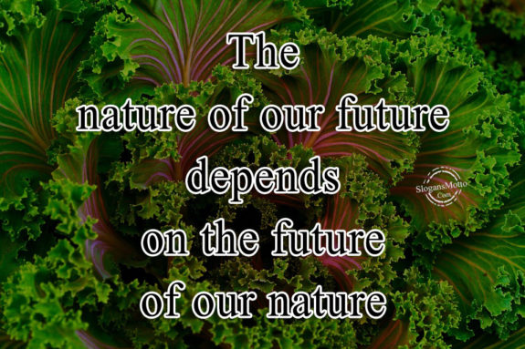 The nature of our future depends on the future of our nature