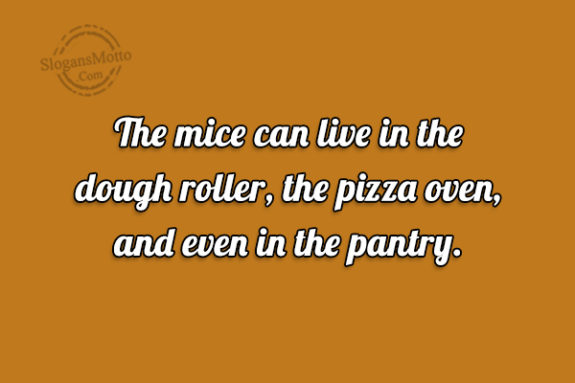 the-nice-can-live-in-the-dough-roller