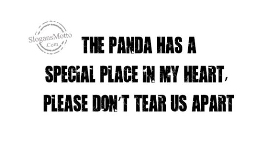 the-panda-has-a-special-place-in-my-heart