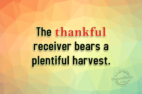 the-thankful-receiver-bears