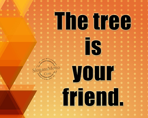 The tree is your friend.