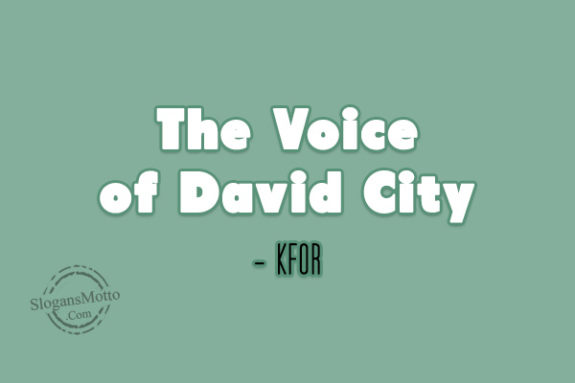 the-voice-of-david-city