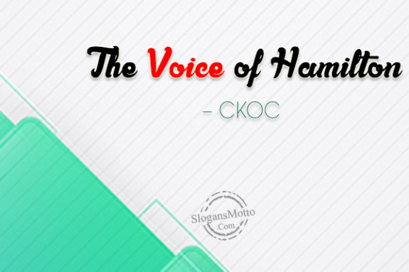 the-voice-of-hamilton