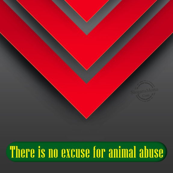 There Is No Excuse For Animal Abuse