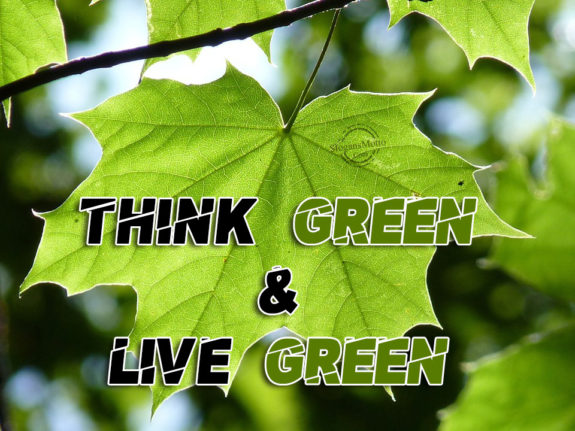 Think Green & Live green