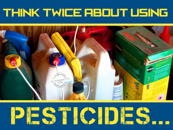 Think twice about using pesticides.
