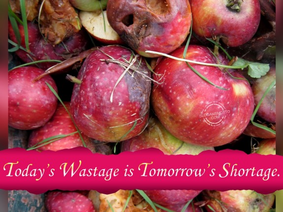 Today’s wastage is tomorrow’s shortage.