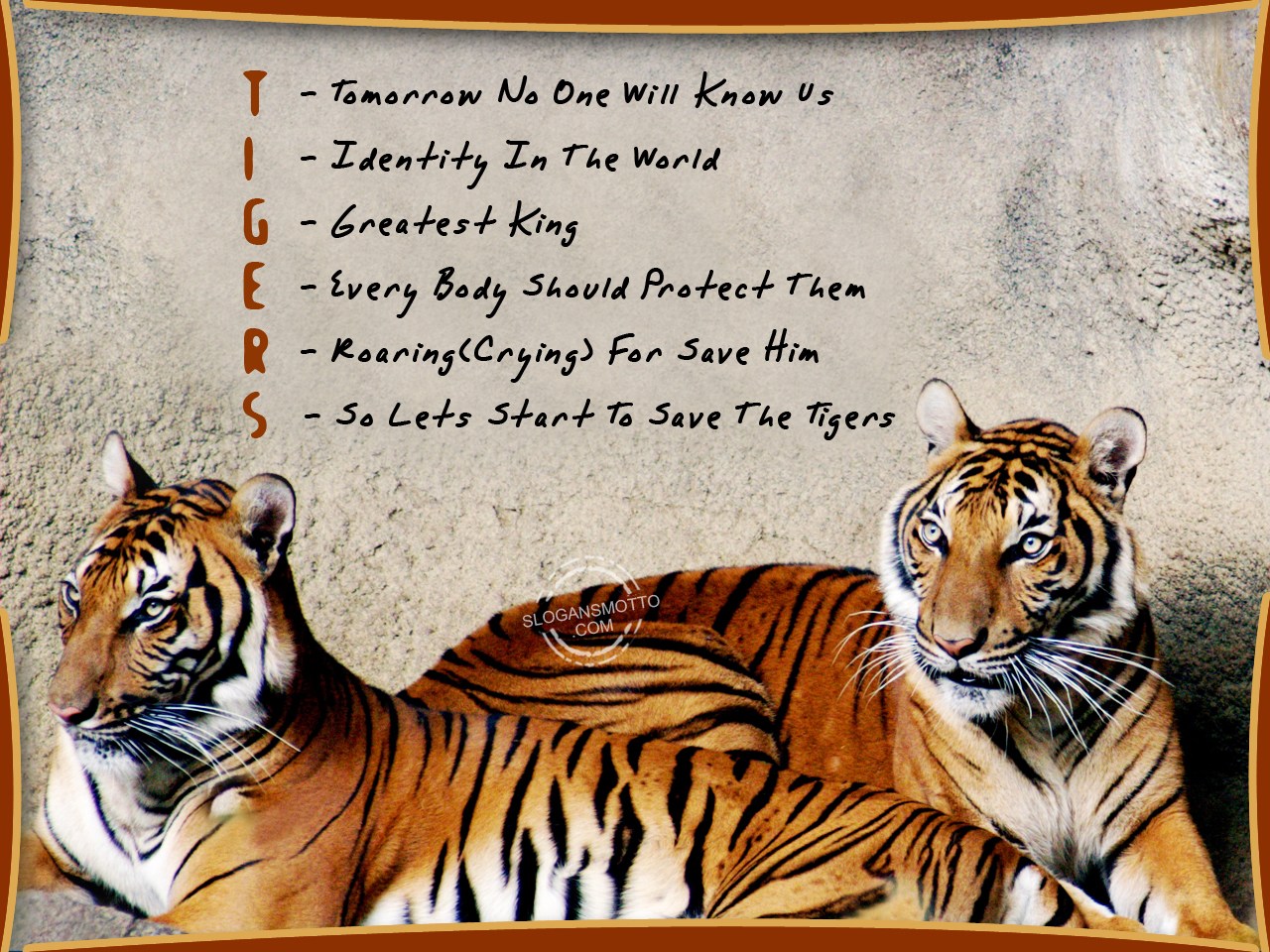 Save Tigers Slogans