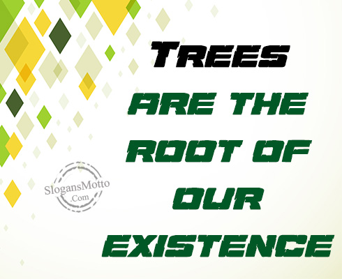 Trees are the root of our existence