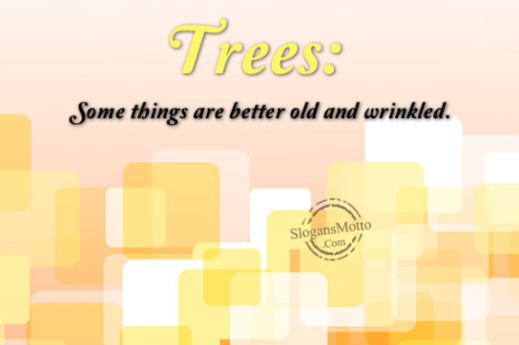 Trees: Some things are better old and wrinkled.
