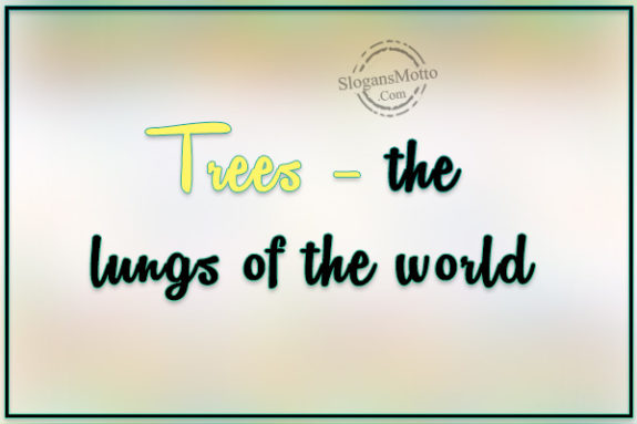 Trees – the lungs of the world