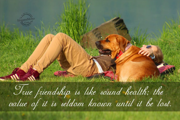 true-friendship-is-like-sound