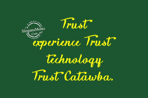 trust-expereince-trust-technology
