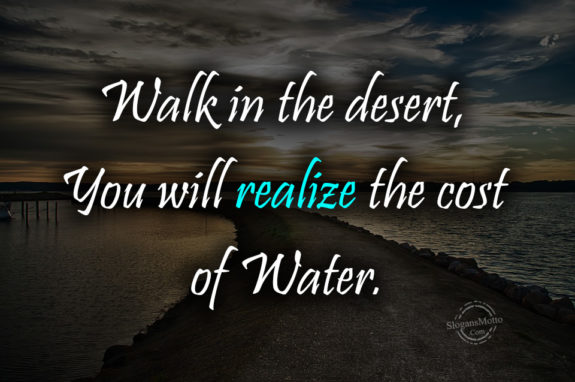 Walk in the desert, You will realize the cost of Water.