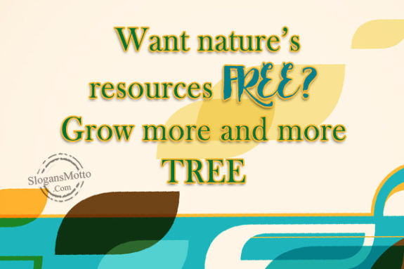 Want nature’s resources FREE? Grow more and more TREE