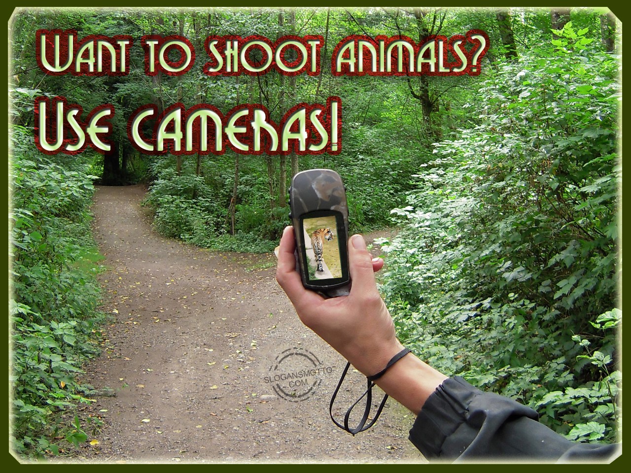 Want to shoot animals? …Use cameras! Want to shoot animals? …Use cameras!