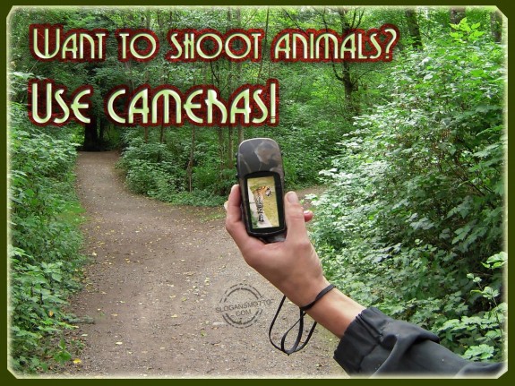 Want to shoot animals…Use cameras!